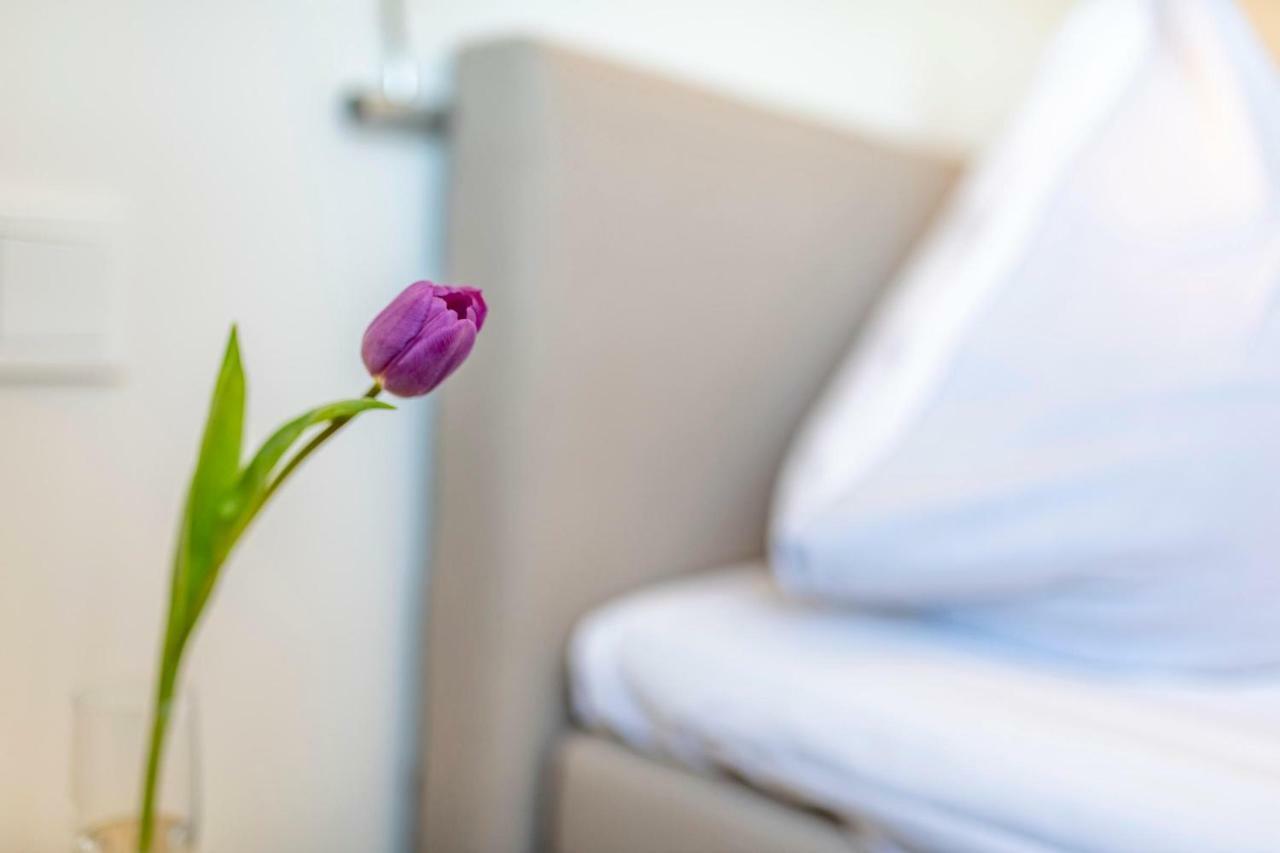 Apartmán Treibgut Olpenitz Exteriér fotografie